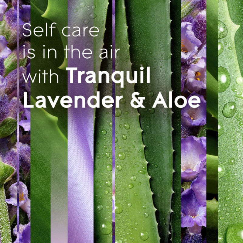 TRANQUIL LAVENDER & ALOE - Image 5